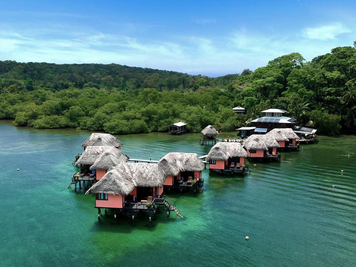 Eclypse De Mar Acqua Lodge Bastimentos Ngoại thất bức ảnh
