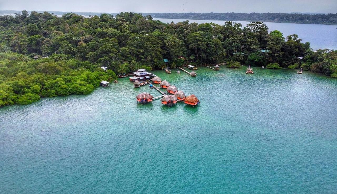 Eclypse De Mar Acqua Lodge Bastimentos Ngoại thất bức ảnh