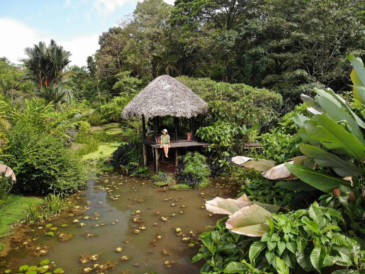 Eclypse De Mar Acqua Lodge Bastimentos Ngoại thất bức ảnh