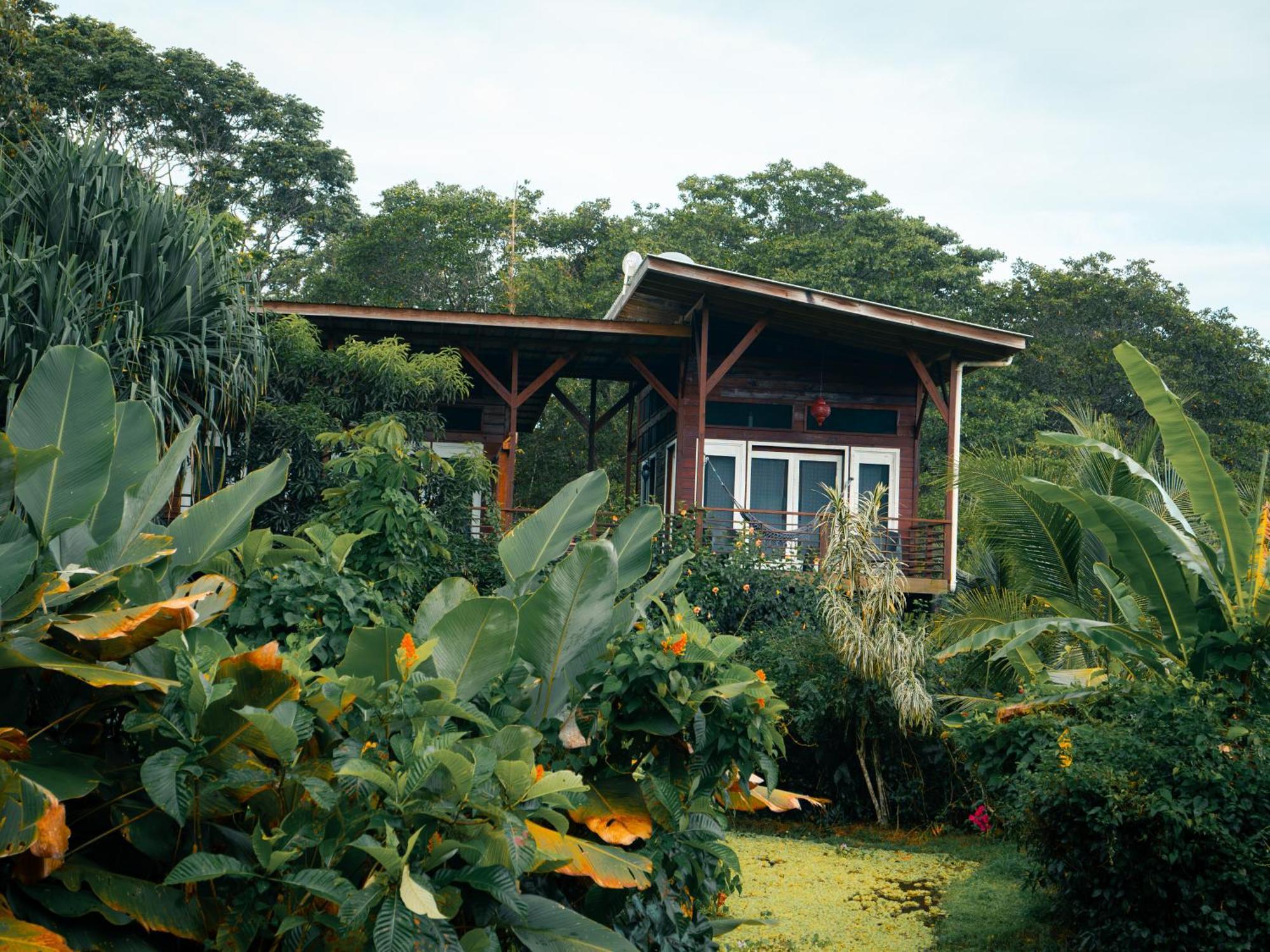 Eclypse De Mar Acqua Lodge Bastimentos Phòng bức ảnh